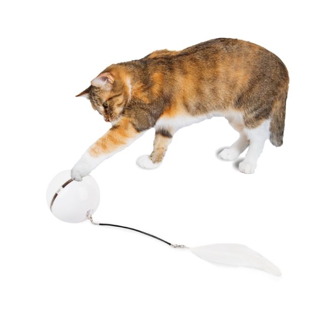 From mice to birds toys that tap into your cat’s hunting instincts (3) From mice to birds toys that tap into your cat's hunting instincts (3)