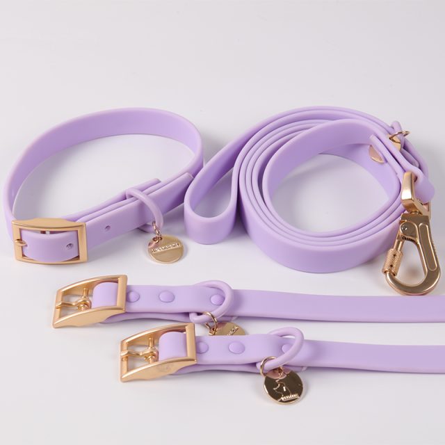 From reflective to LED safety-first pet leash solutions (2) From reflective to LED safety-first pet leash solutions (2)