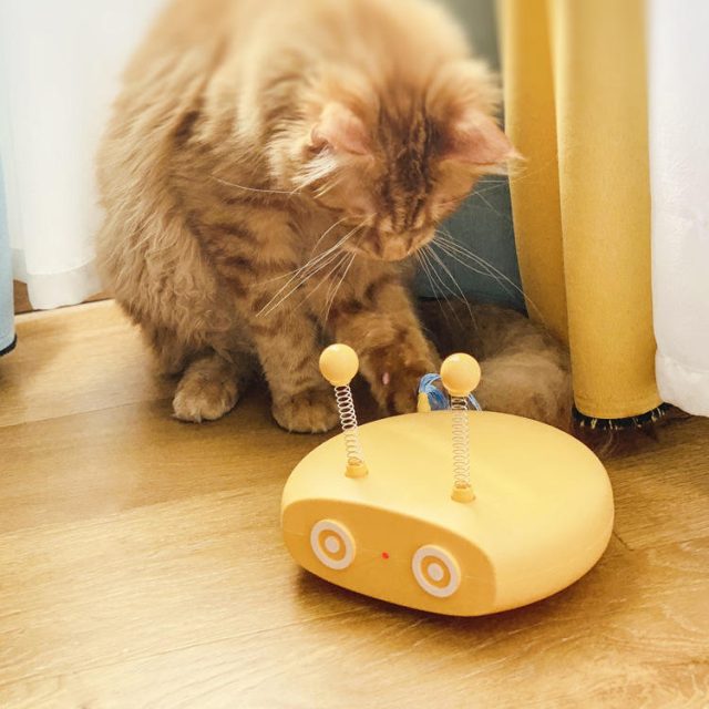 From solo play to interactive fun toys that suit every cat’s mood (5) From solo play to interactive fun toys that suit every cat's mood (5)