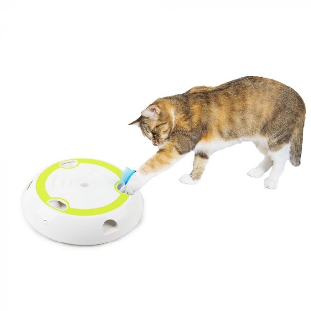 From stalking to swatting toys that mimic real-life hunt (6) From stalking to swatting toys that mimic real-life hunt (6)