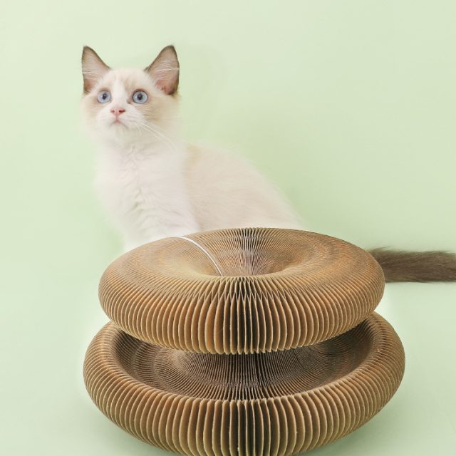 From teasers to tunnels explore our wide range of cat toys (1) From teasers to tunnels explore our wide range of cat toys (1)