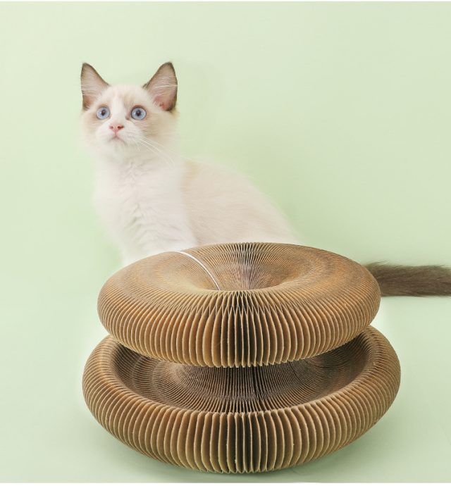 From teasers to tunnels explore our wide range of cat toys (1) From teasers to tunnels explore our wide range of cat toys (1)