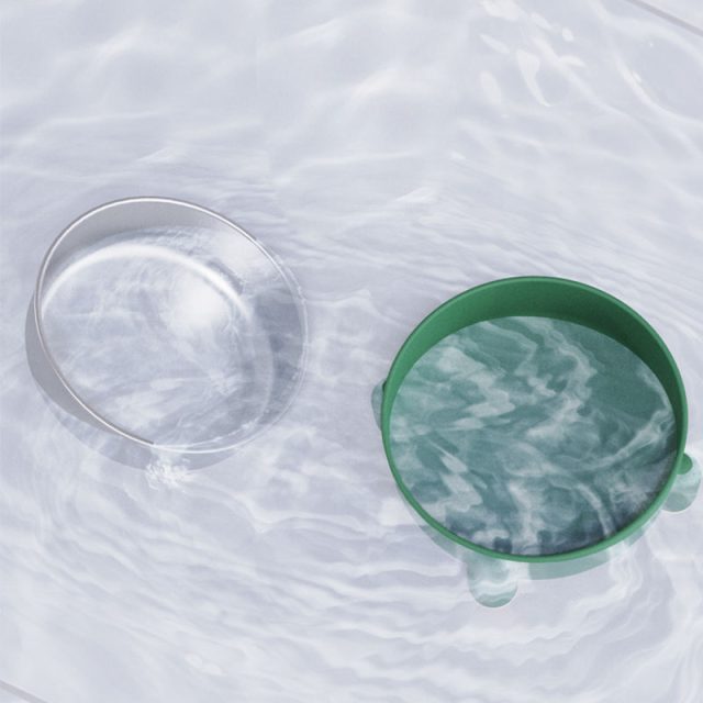 From timed to smart pet feeders to suit every schedule and lifestyle (3) From timed to smart pet feeders to suit every schedule and lifestyle (3)