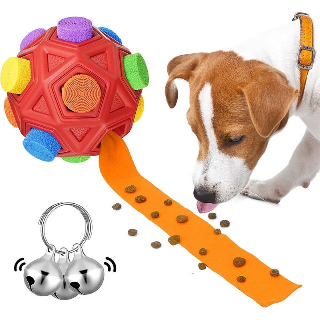 Gentle dental dog toys promote oral health with play (5) Gentle dental dog toys promote oral health with play (5)