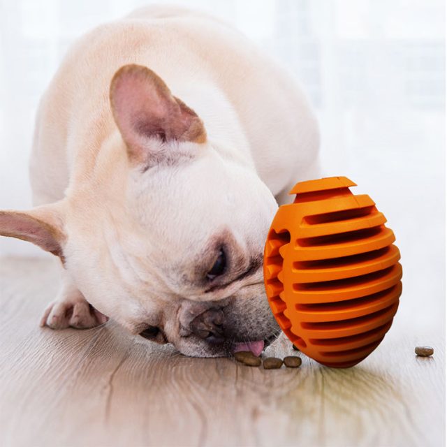 Glow-in-the-dark dog toys nighttime fun for your pet (5)