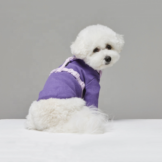 How to properly size and fit your pet’s harness for optimal comfort (1) How to properly size and fit your pet's harness for optimal comfort (1)