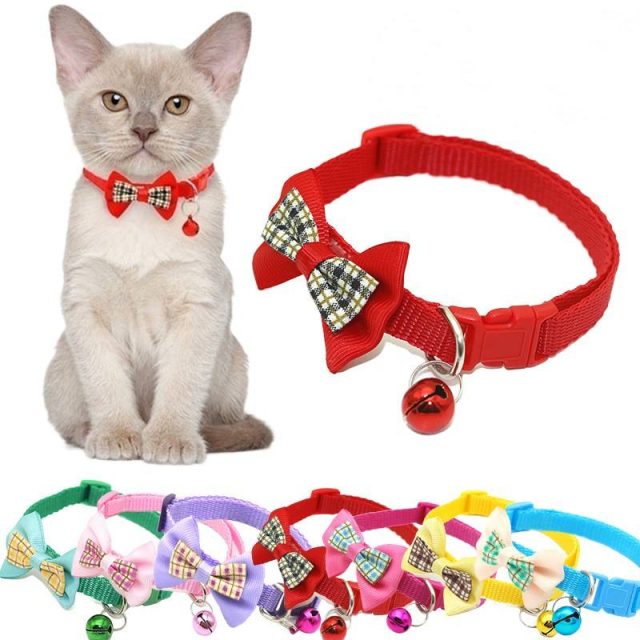 Innovative pet collars style meets functionality (1)