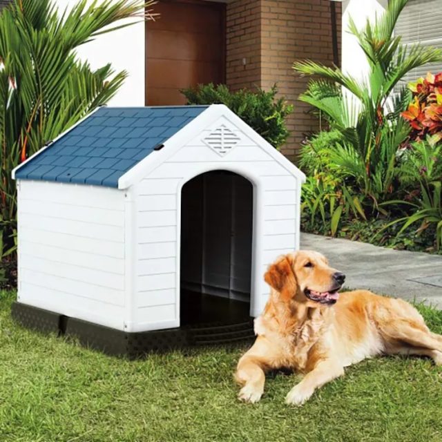 Join the pet retreat revolution transform your home with our kennels (3) Join the pet retreat revolution transform your home with our kennels (3)