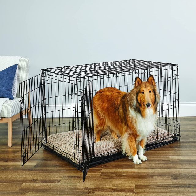 Keep your pet comfortable anywhere portable pet kennels available now (4) Keep your pet comfortable anywhere portable pet kennels available now (4)