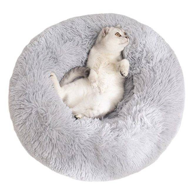 Pamper your pet luxurious bedding options for every budget (3) Pamper your pet luxurious bedding options for every budget (3)