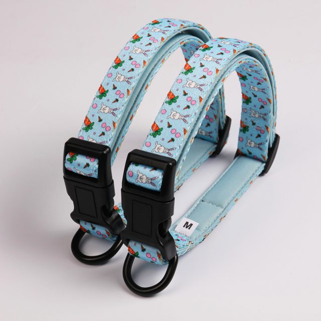 Personalized pet collars add flair to your furry friend's look (5)