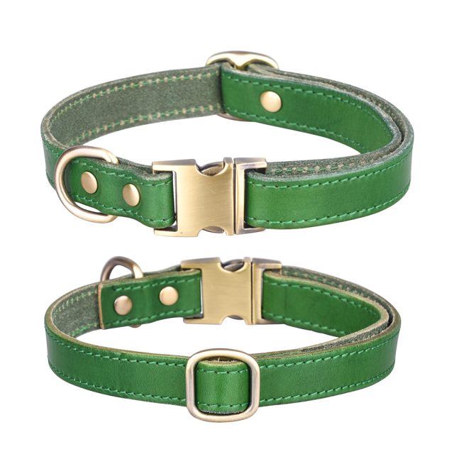 Pet collars for every occasion from playdates to formal events (1)