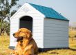 Pet-friendly designs comfortable and safe kennels for your beloved companion (4)
