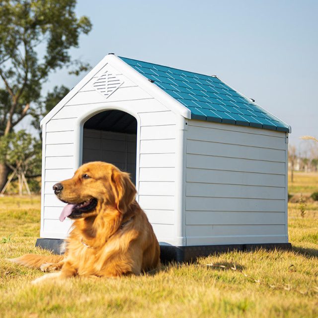 Pet-friendly designs comfortable and safe kennels for your beloved companion (4) Pet-friendly designs comfortable and safe kennels for your beloved companion (4)
