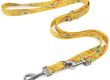 Pet-friendly designs comfortable and safe leashes for your furry friend (4)