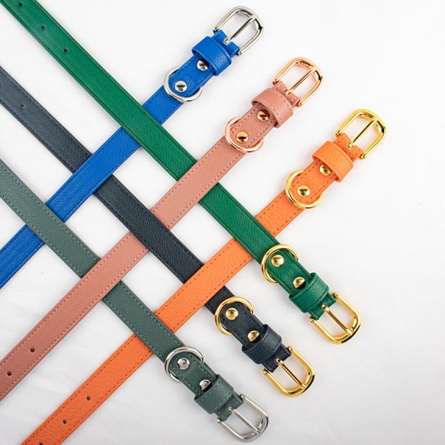 Premium quality pet collars luxury for your furry friend (6)