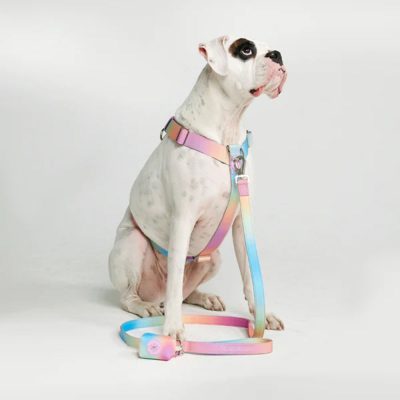 Premium-quality-pet-harnesses-luxury-for-your-beloved-pet-2-400x400