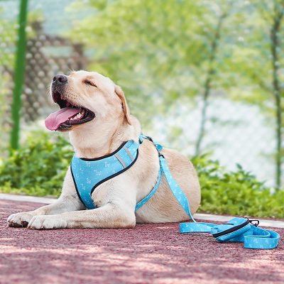 Protect-your-pet-with-GPS-enabled-collars-peace-of-mind-for-pet-owners-6-400x400