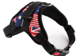 Reflective pet harnesses enhance visibility and safety during night walks (2)