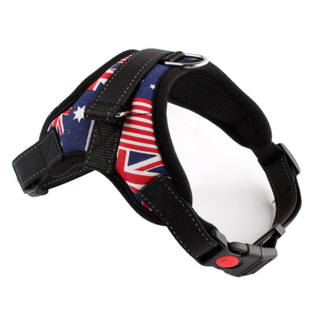 Reflective pet harnesses enhance visibility and safety during night walks (2) Reflective pet harnesses enhance visibility and safety during night walks (2)