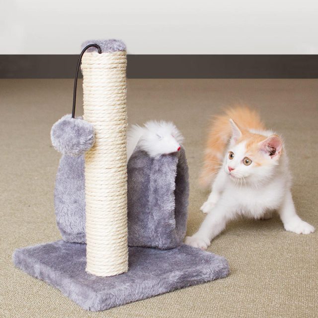 Say hello to endless fun cat toys that never fail to entertain (1) Say hello to endless fun cat toys that never fail to entertain (1)