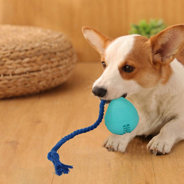 Scented dog toys engage your pup’s sense of smell (5) Scented dog toys engage your pup’s sense of smell (5)