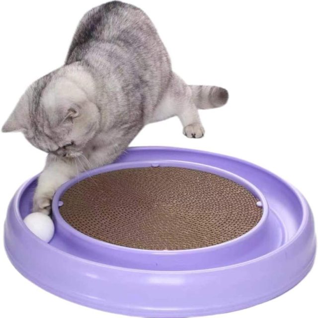 Sensory wonderland toys that engage all of your cat’s senses (1) Sensory wonderland toys that engage all of your cat's senses (1)