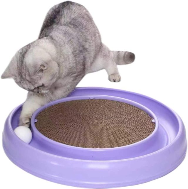 Sensory wonderland toys that engage all of your cat’s senses (1) Sensory wonderland toys that engage all of your cat's senses (1)