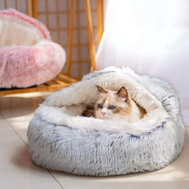 Shop the best selection of pet beds online (5) Shop the best selection of pet beds online (5)