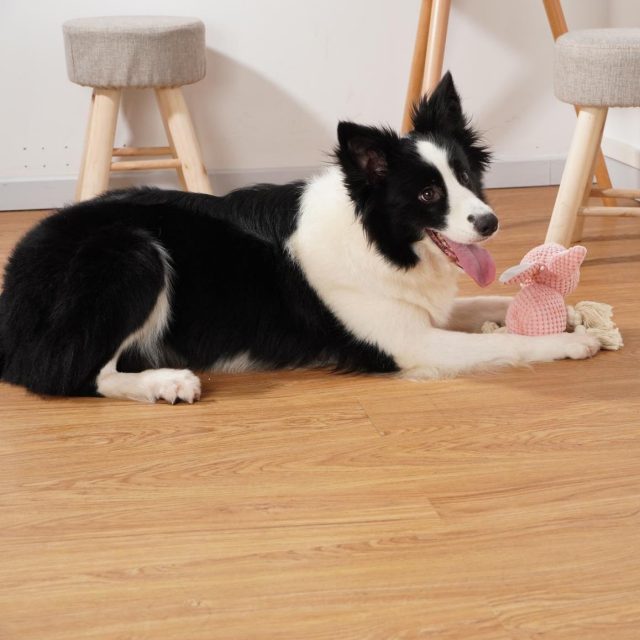 Squeaky plush dog toys soft and entertaining for your pet (1)