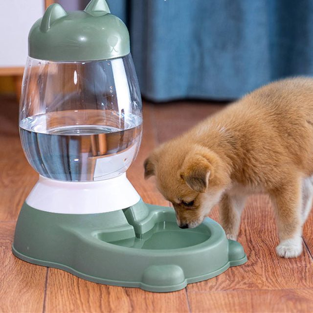 Stay organized multi-pet feeders for busy pet families (3) Stay organized multi-pet feeders for busy pet families (3)