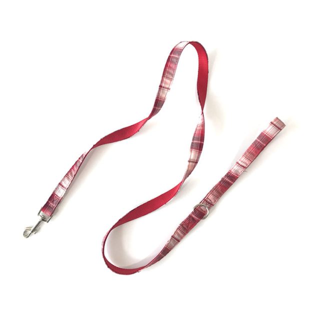 Stylish and functional trendy pet leashes for fashionable pets (4) Stylish and functional trendy pet leashes for fashionable pets (4)