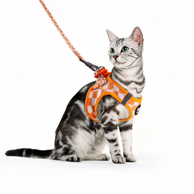 Tech-savvy pet harnesses explore the latest advancements (4) Tech-savvy pet harnesses explore the latest advancements (4)
