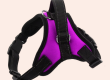 The benefits of adjustable pet harnesses grow with your pet (4)