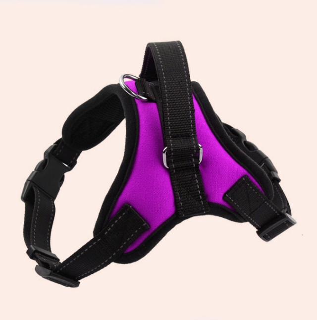 The benefits of adjustable pet harnesses grow with your pet (4) The benefits of adjustable pet harnesses grow with your pet (4)