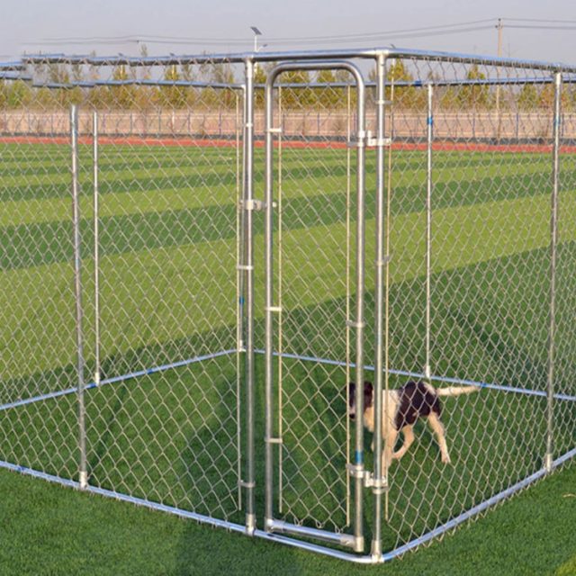 Top-quality pet kennels ensuring your pet’s comfort and safety (4) Top-quality pet kennels ensuring your pet's comfort and safety (4)