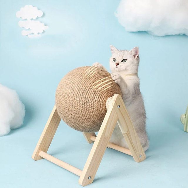 Travel-friendly toys keep your cat entertained on the go (2) Travel-friendly toys keep your cat entertained on the go (2)