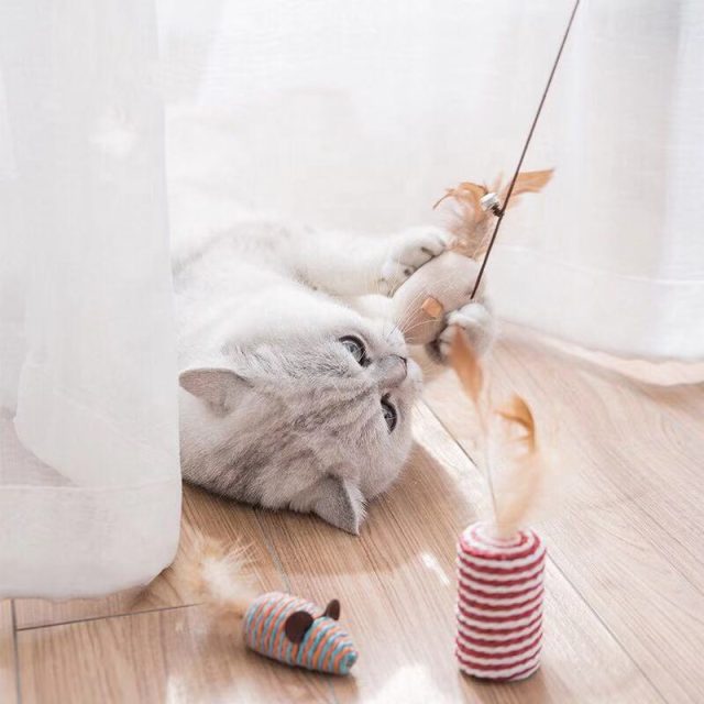 Treat your cat to luxury plush toys fit for feline royalty (2) Treat your cat to luxury plush toys fit for feline royalty (2)