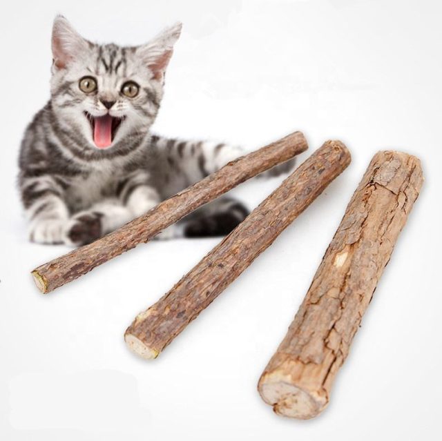 Treat your cat to the best premium quality toys for endless fun (1) Treat your cat to the best premium quality toys for endless fun (1)