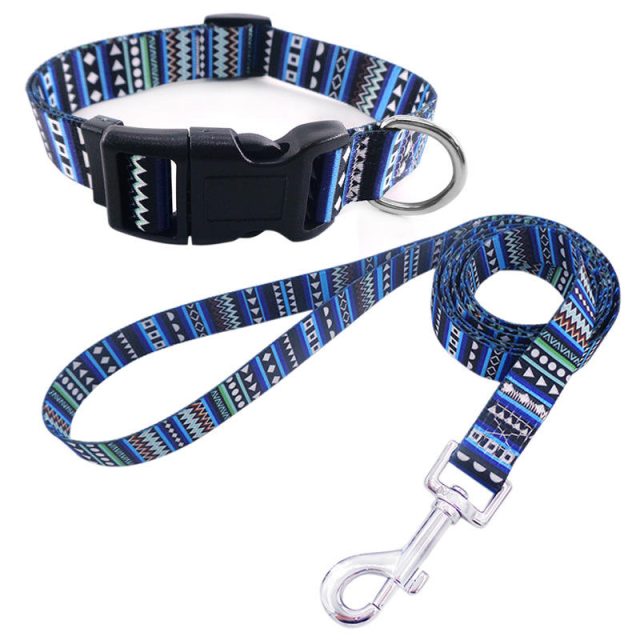 Trending pet collars that your furry friend will love (6) Trending pet collars that your furry friend will love (6)