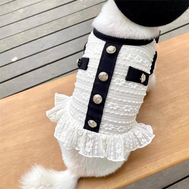 Trendy pet clothes for fashionable furry friends (5) Trendy pet clothes for fashionable furry friends (5)