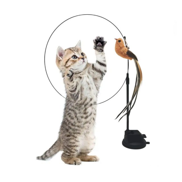 Unbox joy exciting new cat toys just a click away (3) Unbox joy exciting new cat toys just a click away (3)