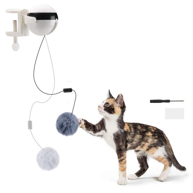 Unleash your cat’s inner hunter exciting toys they’ll love (1) Unleash your cat's inner hunter exciting toys they'll love (1)
