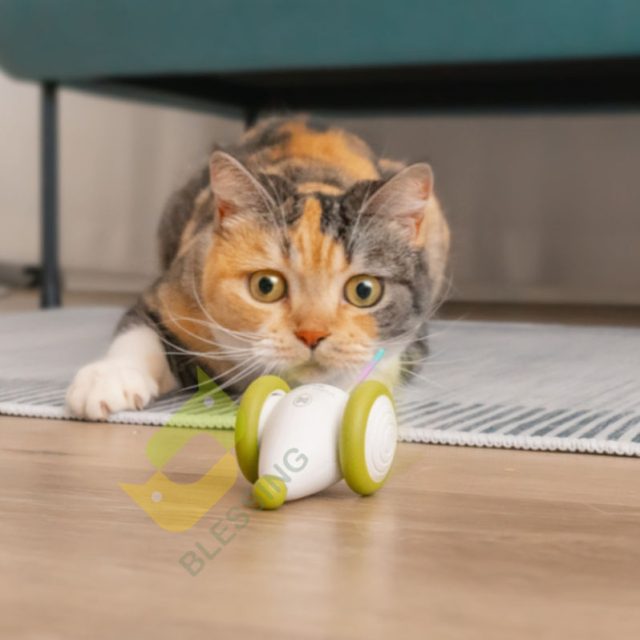 Unlock your cat’s curiosity toys that mimic real prey (4) Unlock your cat's curiosity toys that mimic real prey (4)
