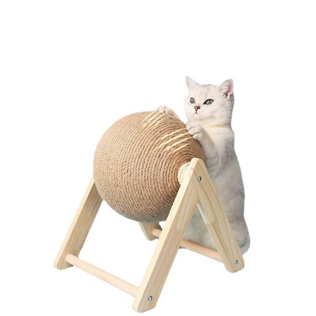 Upgrade your cat’s toybox new arrivals that will excite them (4) Upgrade your cat's toybox new arrivals that will excite them (4)