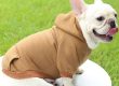 Upgrade your pet's wardrobe new arrivals and exclusive designs (4)