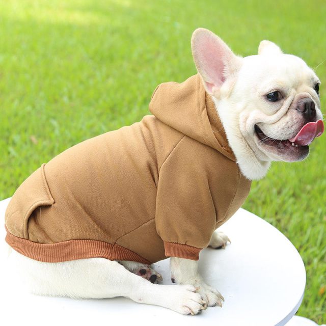 Upgrade your pet’s wardrobe new arrivals and exclusive designs (4) Upgrade your pet's wardrobe new arrivals and exclusive designs (4)