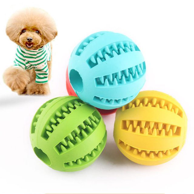 Water-resistant dog toys perfect for outdoor adventure (1) Water-resistant dog toys perfect for outdoor adventure (1)
